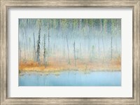 Framed Foggy pond and forest, Mount Robson PP, British Columbia, Canada