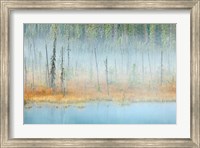 Framed Foggy pond and forest, Mount Robson PP, British Columbia, Canada