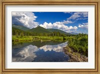 Framed Beaver pond along the Flathead River near Fernie, British Columbia, Canada