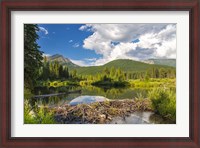 Framed Flathead River, British Columbia, Canada