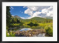 Framed Flathead River, British Columbia, Canada