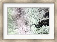 Framed Satellite View of Amarillo, Texas, Covered in Snow