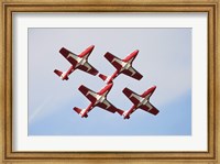 Framed Snowbirds 43 Squadron of the Royal Canadian Air Force