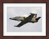 Framed Aero L-39ZA Albatros Trainer Aircraft of the Czech Air Force