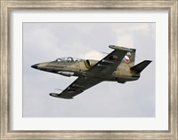Framed Aero L-39ZA Albatros Trainer Aircraft of the Czech Air Force