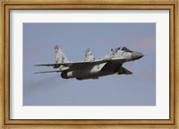Framed MIG-29 of the Slovak Air Force in Digital Camouflage
