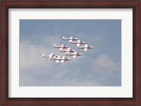 Framed Snowbirds 431 Air Demonstration Squadron of the Royal Canadian Air Force