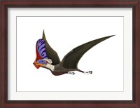 Framed Tapejara, a Genus of Brazilian Pterosaur from the Cretaceous Period