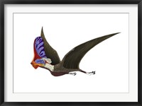 Framed Tapejara, a Genus of Brazilian Pterosaur from the Cretaceous Period