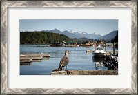 Framed British Columbia, Vancouver Island, Strathcona Park, Harbor