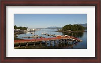 Framed Dock and harbor, Tofino, Vancouver Island, British Columbia