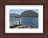 Framed Harbor, Meares Island, Vancouver Island, British Columbia