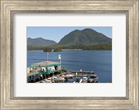 Framed Harbor, Meares Island, Vancouver Island, British Columbia