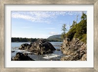 Framed Outcrop, Hot Springs Cove, Vancouver Island, British Columbia