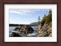 Framed Outcrop, Hot Springs Cove, Vancouver Island, British Columbia