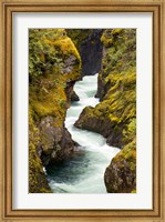 Framed River, Vancouver Island, British Columbia
