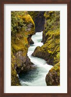 Framed River, Vancouver Island, British Columbia