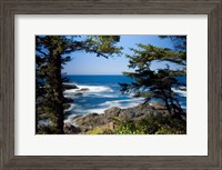 Framed Wild Pacific Trail, Vancouver Island British Columbia