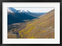 Framed Todagin South Slope Provincial Park, British Columbia