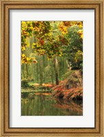 Framed Colorful Fall Leaves at Butchart Gardens, Victoria, British Columbia, Canada