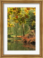 Framed Colorful Fall Leaves at Butchart Gardens, Victoria, British Columbia, Canada