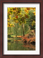 Framed Colorful Fall Leaves at Butchart Gardens, Victoria, British Columbia, Canada