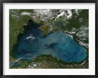 Framed Phytoplankton Bloom in the Black Sea