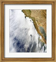 Framed Glory is Seen above a Layer of Stratocumulus Clouds over the Pacific Ocean