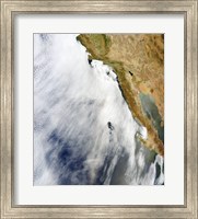 Framed Glory is Seen above a Layer of Stratocumulus Clouds over the Pacific Ocean