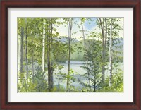 Framed Summer Lake IV