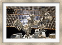 Framed Dextre, the Canadian Space Agency's Robotic Handyman