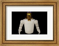 Framed Robonaut 2, Astronaut Helper