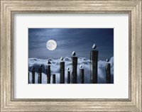 Framed Seagulls Perched on Wooden Posts under a Full Moon