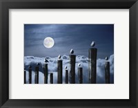 Framed Seagulls Perched on Wooden Posts under a Full Moon