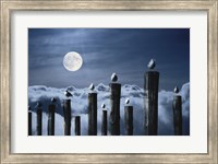 Framed Seagulls Perched on Wooden Posts under a Full Moon