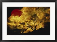Framed Composite of a Lone tree, Burning Fire, and Red Sun