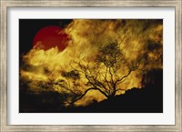 Framed Composite of a Lone tree, Burning Fire, and Red Sun