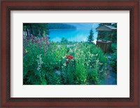 Framed Emerald Lake, Yoho National Park, British Columbia