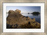 Framed Keith Island, Pacific Rim, British Columbia