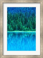 Framed Emerald Lake Boathouse, Yoho National Park, British Columbia, Canada (vertical)