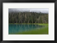 Framed Blue glacial lake, evergreen forest, British Columbia