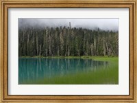 Framed Blue glacial lake, evergreen forest, British Columbia