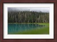 Framed Blue glacial lake, evergreen forest, British Columbia