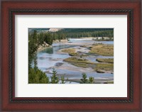 Framed Rivers in Jasper National Park, Canada