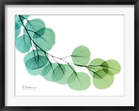 Framed Eucalyptus Green Blue