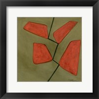 Framed Trapezoids 1