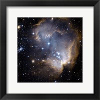 Framed Hubble Observes Infant Stars in Nearby Galaxy