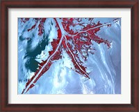 Framed False Color Satellite View of the Very tip of the Mississippi River Delta