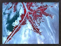 Framed False Color Satellite View of the Very tip of the Mississippi River Delta