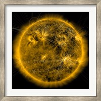 Framed Magnetic Field lines on the Sun